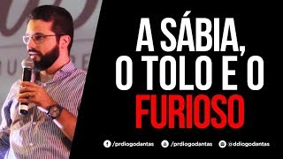 A SÁBIA O TOLO E O FURIOSO  Diogo Dantas [upl. by Rabka]