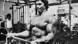 Arnold Schwarzenegger Bodybuilding Tribute [upl. by Arrek767]