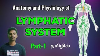 9 Anatomy and Physiology of Lymphatic System in Tamil  Part1 [upl. by Torbert]