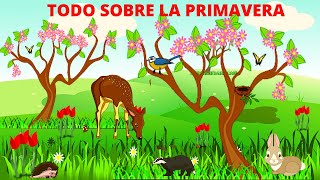 LA PRIMAVERA PARA NIÑOS TODO SOBRE LA PRIMAVERA En Español [upl. by Mutua]