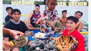 Mukbang Sea Urchin😅 [upl. by Lorette]