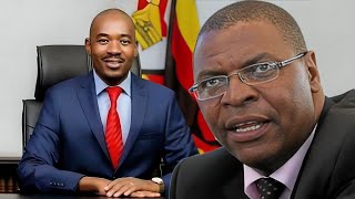 Welshman Ncube Blames Nelson Chamisa For CCC Split [upl. by Melany]