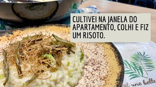 RISOTO DE ALHO PORÓ [upl. by Harrell]