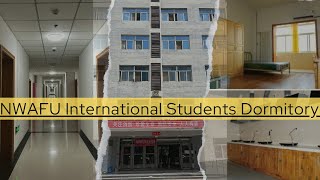 NWAFU Dorm Tour  Important information for new students  International Student dormitory in China [upl. by Georgina705]