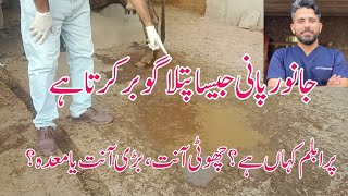 Diarrhea in cattle reason small intestine or large intestine  Dr Furqan Basheer [upl. by Bevis]