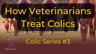 How Veterinarians Treat Colic Horses [upl. by Lillith]