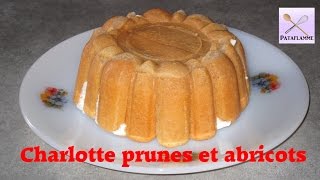 La charlotte aux prunes et aux abricots recette facile et rapide [upl. by Burkhardt169]