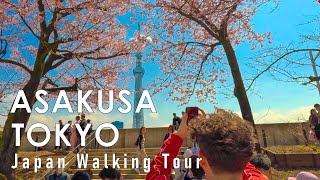 Japan walking tour in Tokyo Asakusa Spring 2024 4K 60fps HDR [upl. by Robertson]