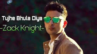 Zack Knight  Tujhe Bhula Diya  Zack Knight 2019 Official Video song [upl. by Devan786]