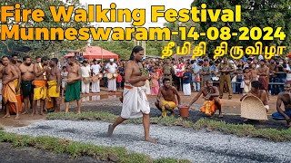 Munneswaram Temple Fire Walking Festival14 08 2024  முன்னேஸ்வரம் தீ மிதி திருவிழா 2024 [upl. by Ydnes]