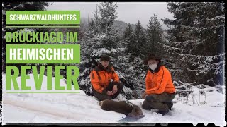 Drückjagd auf Schwarzwild und Rehwild  Schwarzwaldhunters  Jagen im heimischen Revier [upl. by Aneelak]