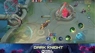 Dark Knight Live Stream [upl. by Matthei]