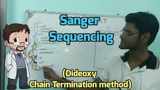 Sanger Sequencing  Practical Explanation  Tamil  Genomics  Biology  ThiNK VISION [upl. by Bluefarb]