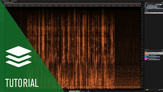 Voice Denoiser  Spectralayers Pro 7 Tutorials [upl. by Gildea760]