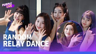 Purple LIVE  Random Relay Busters 버스터즈  Pinky Promise [upl. by Dowd]