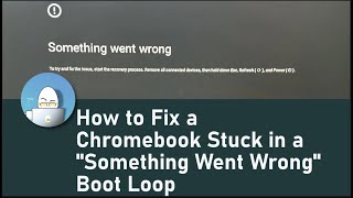 How to Fix a Chromebook Stuck in a quotSomething Went Wrongquot Boot Loop By a Certified Technician [upl. by Milone]