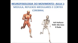 Neurofisiologia da Motricidade Aula 1 Medula e Córtex Cerebral [upl. by Nnairam511]