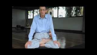 Posture de Zazen methode et precautions [upl. by Jara627]