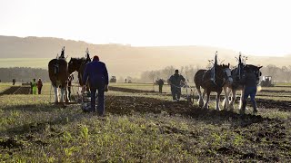 Stratheden Ploughing Match 2022 [upl. by Jessalin]