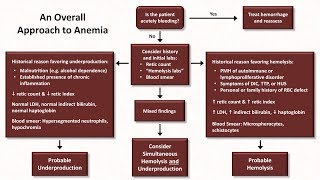 Anemia Lesson 5  An Approach to Diagnosis [upl. by Merta]