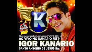 EU SOU BARRIL  IGOR KANNARIO AO VIVO  STO ANTONIO DE JESUSBA 2013 [upl. by Amary]