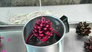 How to Pine Cone Fire Starters [upl. by Atteuqehs]