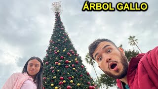 MEXICANO visita el ÁRBOL GALLO Guatemala 🇬🇹 CHIMALTENANGO 🎄 FELIZ NAVIDAD [upl. by Carly]