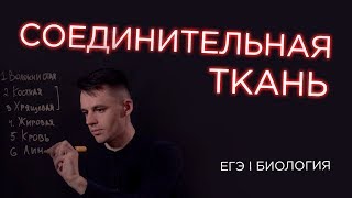 Соединительная ткань I ЕГЭ Биология  Даниил Дарвин [upl. by Verina]