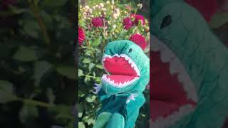 Der Drache 🐉 in der Natur und die Blumen [upl. by Fita]