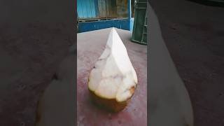 Kohinoor Hira streetfood nariyalpani coconut [upl. by Yro]