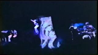 Genesis Live 1975 The Lamia [upl. by Reena585]