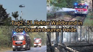 Waldbrand in Oranienbaumer Heide  260 Kräfte im Einsatz gegen die Glut  Exklusiv Videos  OTon [upl. by Sillsby]