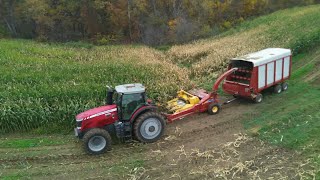 Chopping Corn In VERY MUDDY Conditions  Corn Silage 2023 [upl. by Kong]