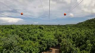 Longest zip line in the Dominican Republic Superman at Scape Park [upl. by Idalla]