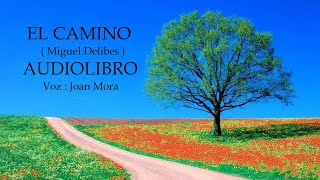 EL CAMINO Miguel Delibes AUDIOLIBRO Narrado por Joan Mora [upl. by Henley960]