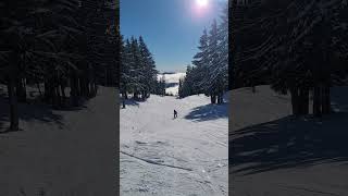 mt hood meadows skiing [upl. by Aneehsor]