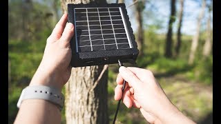 How to Use the Exodus SP18 Solar Panel for Trail Cameras [upl. by Sheilah]