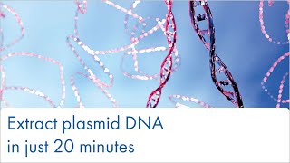 Extract plasmid DNA in 20 minutes [upl. by Zile]