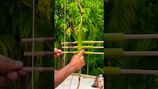 BamBoo bamboo shortvideo shorts short reels [upl. by Monsour919]