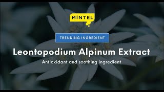 Mintel Trending Ingredient Leontopodium Alpinum Extract [upl. by Rosette453]