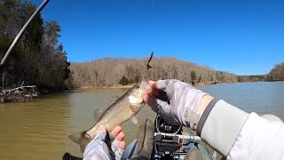 Yatesville Lake Greenbrier Ramp  4th Video in the series  directions bank access bass fishing [upl. by Brunell748]