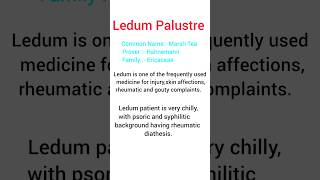 Ledum Palustre homoeopathy medicineAllens keynote Materia Medicamateriamedica aiapget2024 bhms [upl. by Akenehs136]