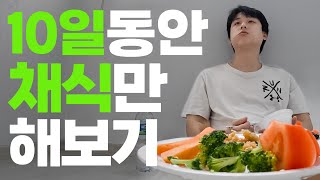 한국땅에서 채식주의자로 살기 힘든 이유 [upl. by Moody579]