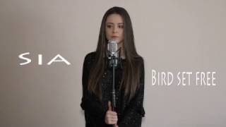 Sia  Bird set free  Daria T  Cover [upl. by Eendyc]