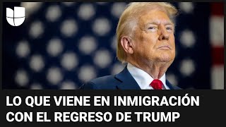 Recomendaciones para indocumentados ante el temor por el regreso de Donald Trump a la presidencia [upl. by Tally]