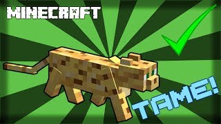 How to Breed Ocelots in Minecraft  a Minecraft How To Tutorial [upl. by Halullat]