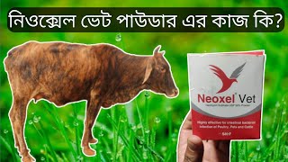 Neoxel vet powder নিওক্সেল ভেট এর কাজ কি দেখুনmollahkrishitv [upl. by Loredana]