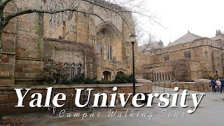 Yale University campus walking tour Exploring Yale University and New Haven Connecticut [upl. by Kimberlee386]