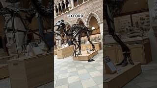 Oxford Museum shorts travel uk [upl. by Tamiko]