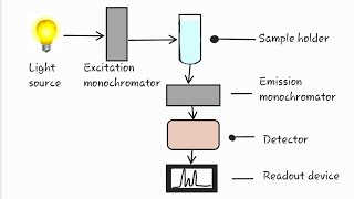 Fluroscence spectroscopy  flurometry spectroflurometry [upl. by Semele]